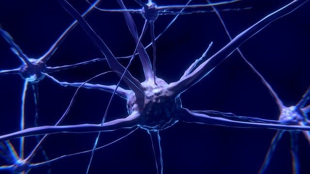 Neowaves Projesi: Yeni Nesil Dalga Analiz Platformu